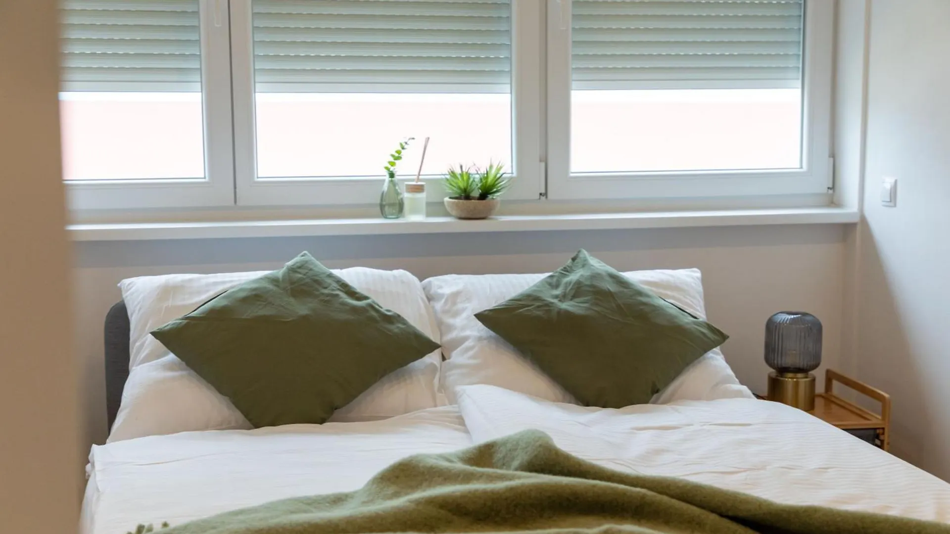 Large Apartments - Great For Groups - With Balcony Or Terrace Vienna